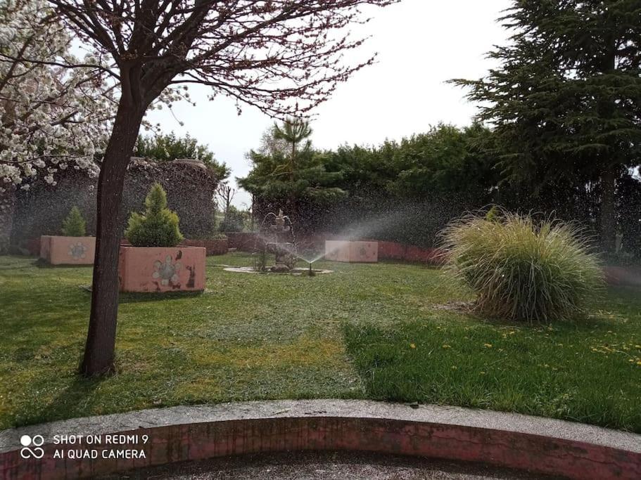 הוילה La Mata  Finca Denunez מראה חיצוני תמונה