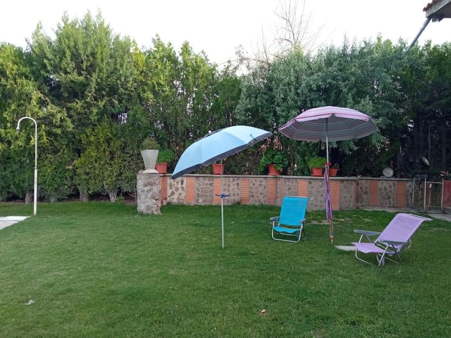 הוילה La Mata  Finca Denunez מראה חיצוני תמונה