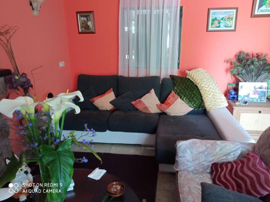 הוילה La Mata  Finca Denunez מראה חיצוני תמונה