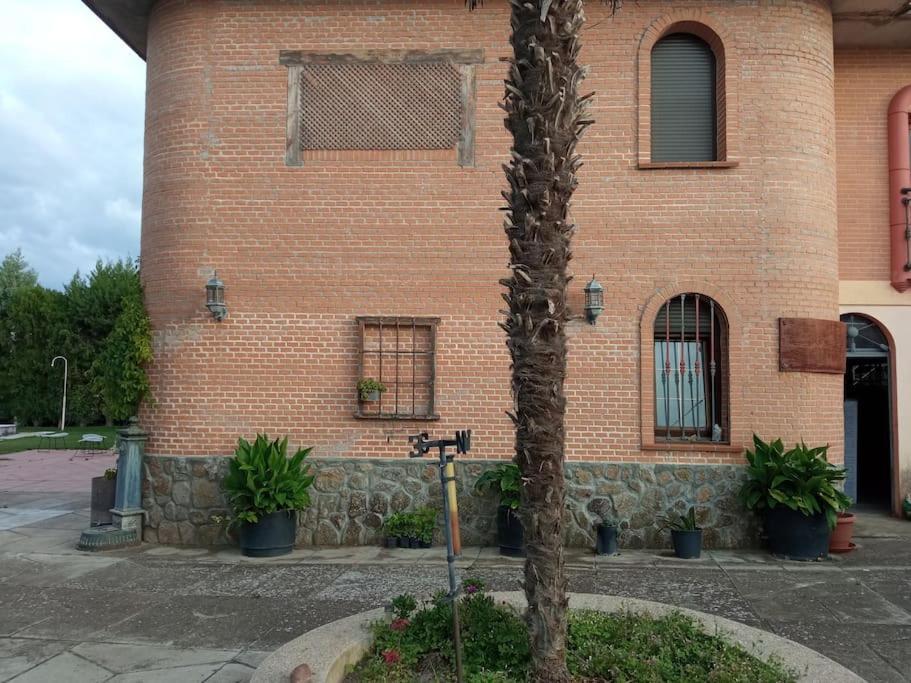 הוילה La Mata  Finca Denunez מראה חיצוני תמונה