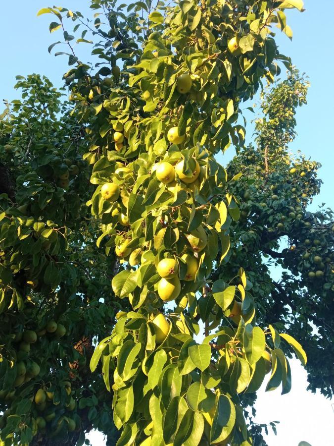 הוילה La Mata  Finca Denunez מראה חיצוני תמונה